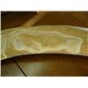 Image 3 : Large whale bone carving of a whale, walrus and seal- 44" length (3)