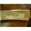 Image 4 : Large whale bone carving of a whale, walrus and seal- 44" length (3)
