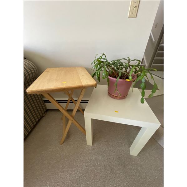 Side Tables / TV Table & Plant