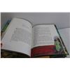 Image 3 : (10) The Bible Story Books - Volumes 1-10, The Desire of Ages Book