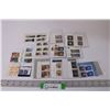 Image 1 : (16) Canadian Stamp Collections: Various Themed 1999 Year and Up