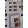 Image 6 : (16) Canadian Stamp Collections: Various Themed 1999 Year and Up