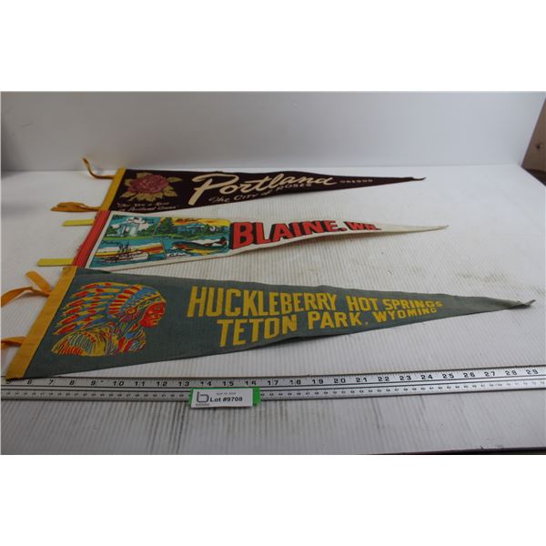 (3) Assorted Pennants - 27" x 8 1/2"