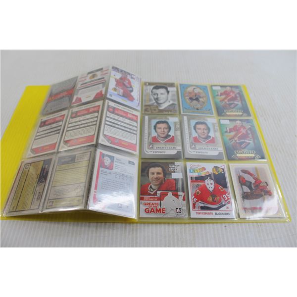 Folder of Tony Esposito Hockey Cards - (4) Pages
