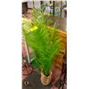 Image 1 : POTTED FAUX PLANT H-45"
