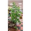 Image 1 : FAUX POTTED PLANT/TREE APPROX 6FT TALL