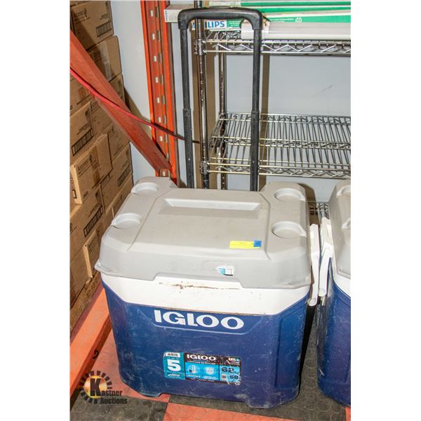 IGLOO 62 QUART MAXCOLD COOLER
