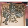 Image 1 : PAIR OF METAL PALM LEAVES WALL DECOR
