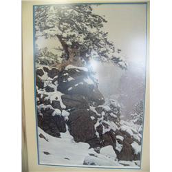 T. Isaac  463/1250  Double Matted and Silver Framed Mountain Lion in Rocky Outcrop (23)