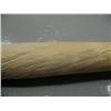 Image 14 : Narwhal Tusk 83" with documnetation- minimum bid of $6,000 (2)