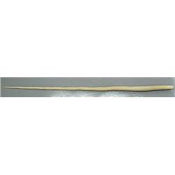 Narwhal Tusk 83" with documnetation- minimum bid of $6,000 (2)