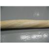 Image 5 : Narwhal Tusk 83" with documnetation- minimum bid of $6,000 (2)