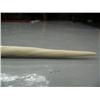 Image 9 : Narwhal Tusk 83" with documnetation- minimum bid of $6,000 (2)