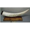 Image 1 : Beautifully scrimshawed tusk 18-1/2" long- caribou fighting 2 wolves by Noel Smith