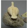 Image 4 : ca. 1960 old King Island piece- ivory ptarmigan with egg- 3"