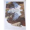 Image 1 : Bev Doolittle "Season of the Eagle" Print 8108 of 8500 - print size 15.25"x36" (3)