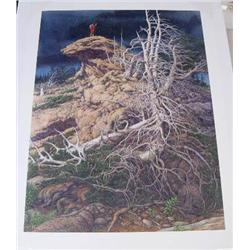 Bev Doolittle "Prayer for the Wild Things" print 54612 of 65000 - print size 31.5"x24" (3)