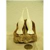 Image 3 : Pair of carved white ivory cormorants mounted on bone- 4-3/4" tall