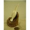 Image 6 : Pair of carved white ivory cormorants mounted on bone- 4-3/4" tall