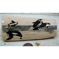 5-1/2" scrimshawed mammoth ivory of 4 killer whales by Homer Cole (114)