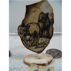 CHOICE on 4 three inch scrimshawed fossilized ivory by Homer Cole: 2 baby dall sheep (114)