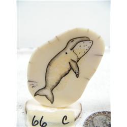 CHOICE on 6 scrimshawed white ivory 2" by Mike Saclamana: whale (114)