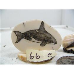 CHOICE on 6 scrimshawed white ivory 2" by Mike Saclamana: killer whale (114)