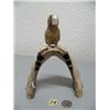 Image 3 : Whale bone bird on walrus jawbone face with ivory beak, 459f, by Aningayou (2)