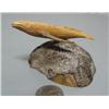 Image 4 : 3-1/2" whale bone whale (2)