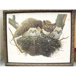 Picture Framed by Richard Sloan, Great Horned Owl  frame size 25" x 31"  (129)