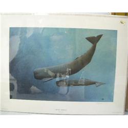 CHOICE on 6 prints: 2 prints- one of sperm whale 145 of 250 by Gary Lyons- 13-1/2" x 19"; other piec