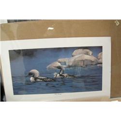 CHOICE on 6 prints: 2 pictures- 1 called "Outing" of loons by Annette Hartzell done in 1987 10" x 20