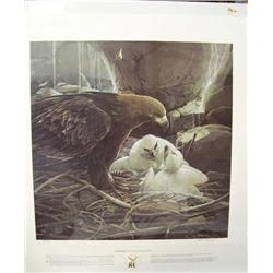 CHOICE on 6 prints: Signed and numbered print of a golden eagle 87 of 580 by Mario Fernandez done in