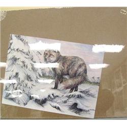 CHOICE on 6: 2 pictures- Doug Lindstrand of fox and ptarmigan 12x16; Tim Dickson bobcat 796/950 (2)