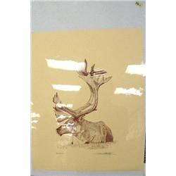CHOICE on 6: 2 pictures- 40 of 300 signed of caribou; Steve Hillyer of fishing boat (2)