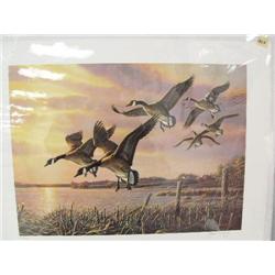 CHOICE on 6: signed and numbered print" Interlude" of Canadian geese by James Meger 14-1/2x20; signe