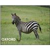 Image 1 : Zebra Hunting special - OXFORD SAFARIS