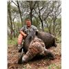 Image 3 : 8 nights, Buffalo Bull Package with a one day Kruger - Derian Koekemoer Safaris Park Trip