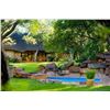 Image 3 : 10 Day - Classic Safari - Buffalo, Roan - TOM DREYER SAFARIS