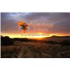 Image 2 : 7 Day Plains game Hunt for 1 Hunter in Limpopo - Paul Brits Safaris