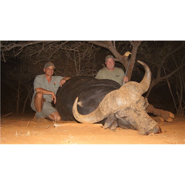7 Day Buffalo Hunt for 1 Hunter in Limpopo - Paul Brits Safaris