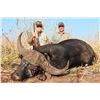 Image 4 : 7 Day Buffalo Hunt for 1 Hunter in Limpopo - Paul Brits Safaris