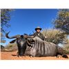Image 4 : 1 HUNTER - 7 DAY PACKAGE - LIEBENBERG SAFARIS