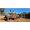 Image 3 : Buffalo Hunt - Bos and Dal Safaris