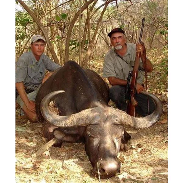 Buffalo Cow and plains game hunt - Baobab Hunting Safaris