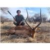 Image 2 : Buffalo Cow and plains game hunt - Baobab Hunting Safaris