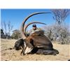 Image 4 : African Intro Safari - 1 Hunter - 5 Days - 4 Animals - Sadaka Safaris