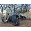 Image 3 : Bushveld Cape Buffalo - 1 Hunter - 7 Days - Sadaka Safaris