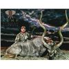 Image 1 : 6 night 7 days hunting safari for a 56"-58" Kudu - Kemp African safaris