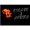 Image 2 : 6 night 7 days Kruger Park luxurious safari for 2 Adults sharing - Escape2Africa